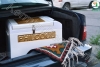 New Philadelphia Cool Disney Refrigerator 60-liter Auto Electrostatic Vehicle